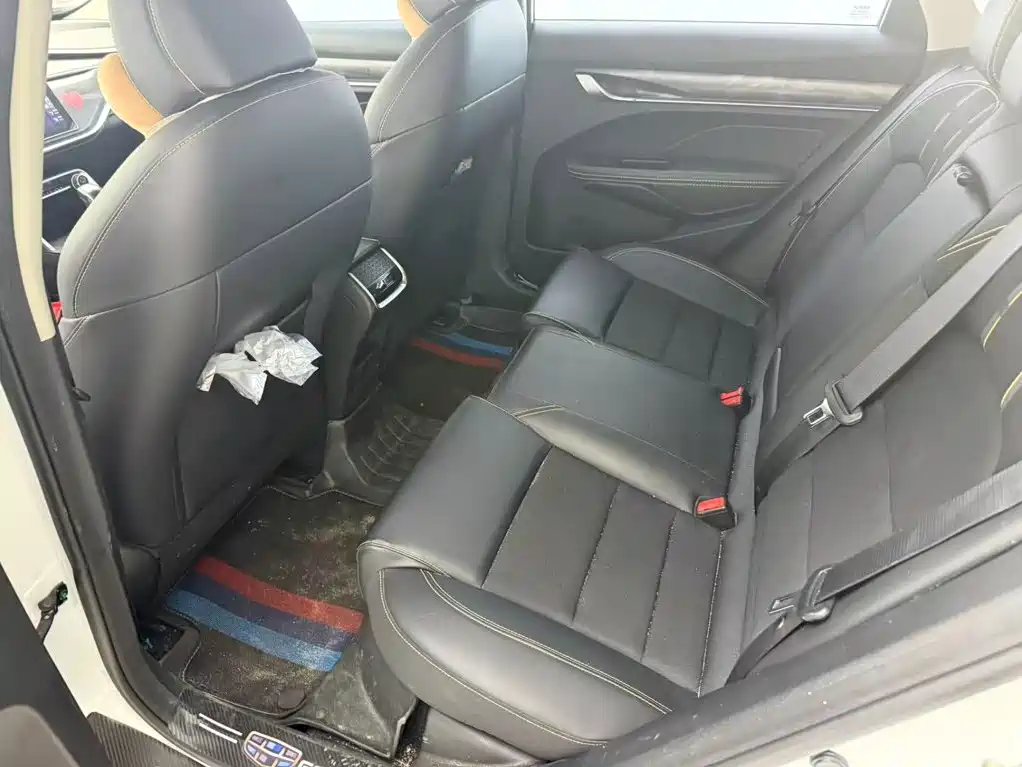 Фото 6 - Geely Binrui
