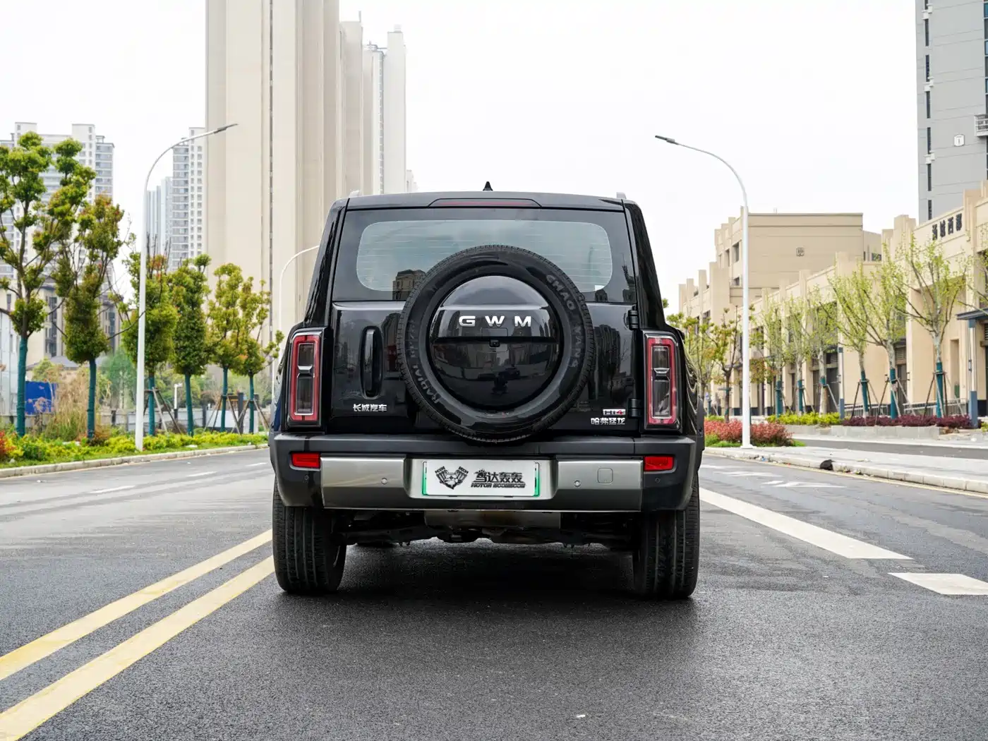 HAVAL RAPTORS NEW ENERGY