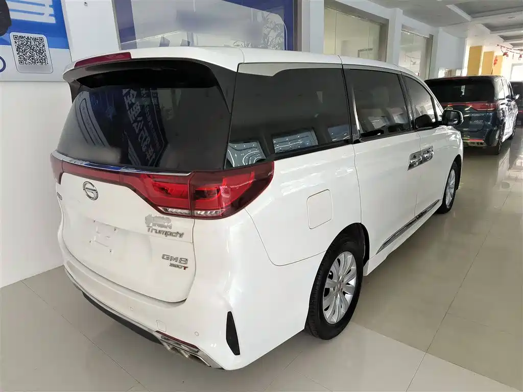 GAC Trumpchi Trumpchi M8 2020 Pilot 390T Premium Edition фото 7