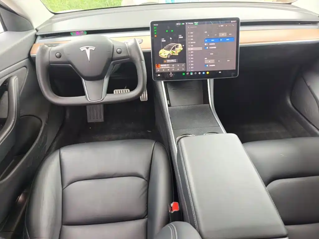 Tesla Model 3 (Import) 2019 2019 Performance High-Efficiency All-Wheel Drive Version