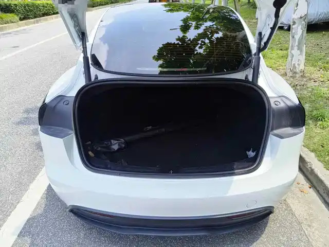 Tesla Model 3 2025 Long Range All-Wheel Drive — фото 5