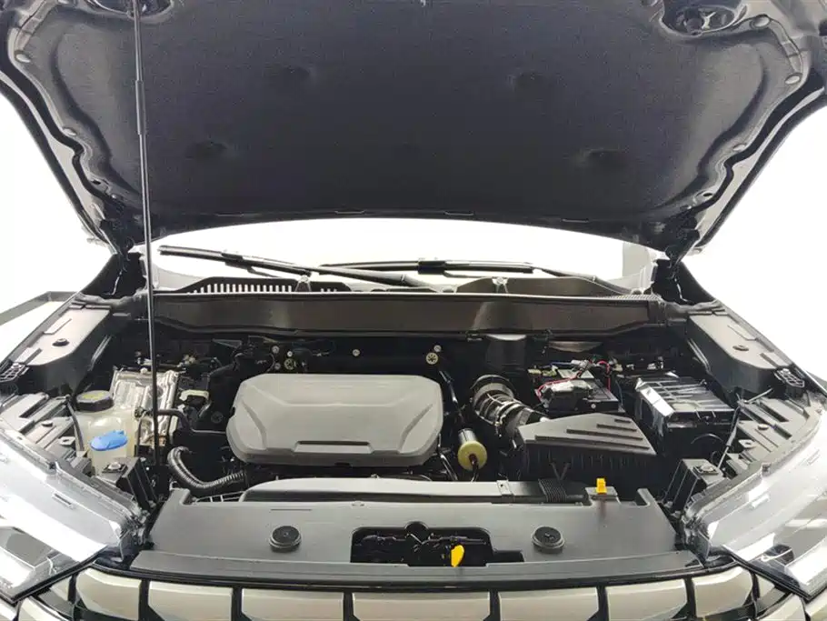 Haval H6 2024 1.5T 2WD Max фото 10
