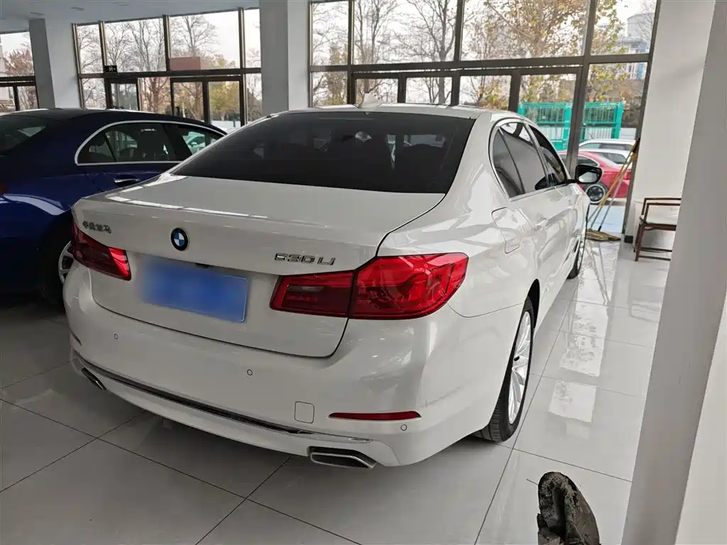 BMW 5 Series 2020 530Li Leading Luxury Package фото 23