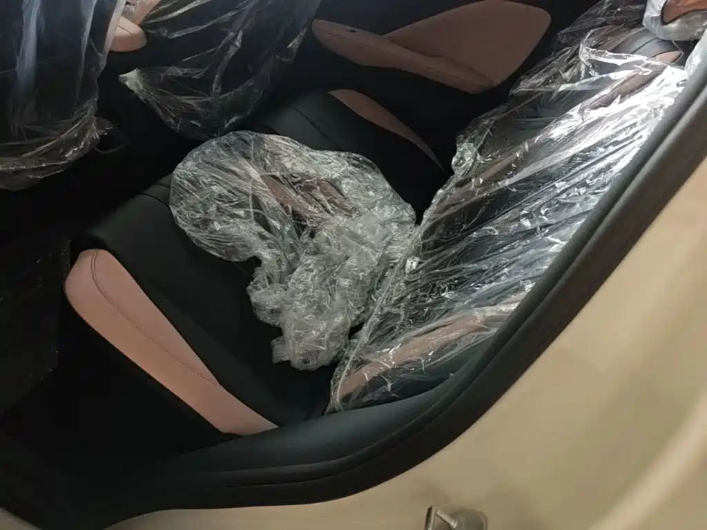BYD Seagull 2026 2025 Smart Drive Edition 305km Vitality Version