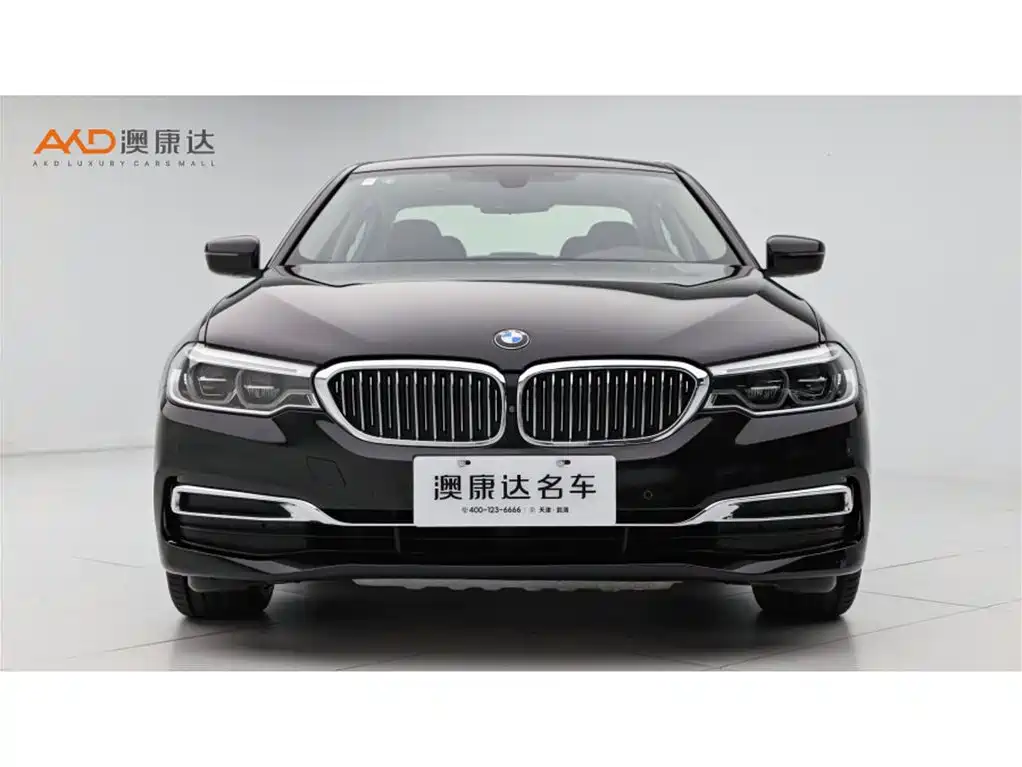 BMW 5 Series 2020 530Li Premium Luxury Package фото 2