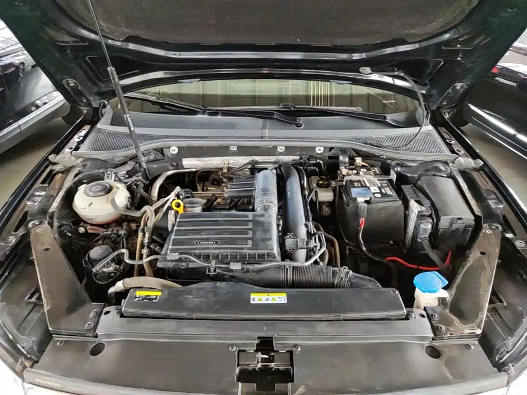 Volkswagen Magotan 2023 Model 2 Million Units Commemorative Edition 280TSI DSG Leading Version фото 20