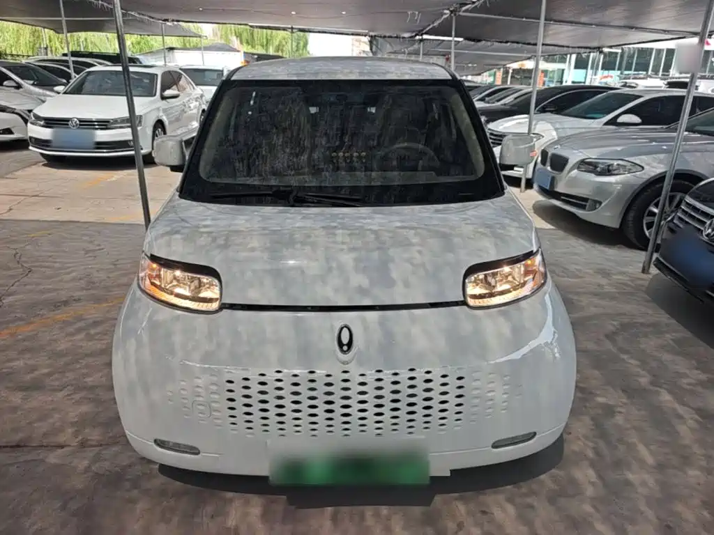2022 Ora White Cat