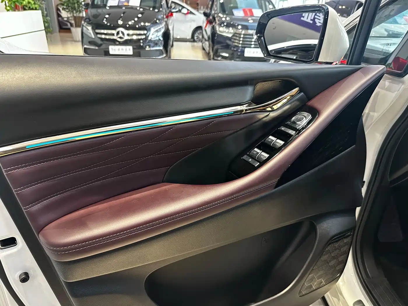 GAC Trumpchi Trumpchi M8 2024 Master Series Super Hybrid фото 9