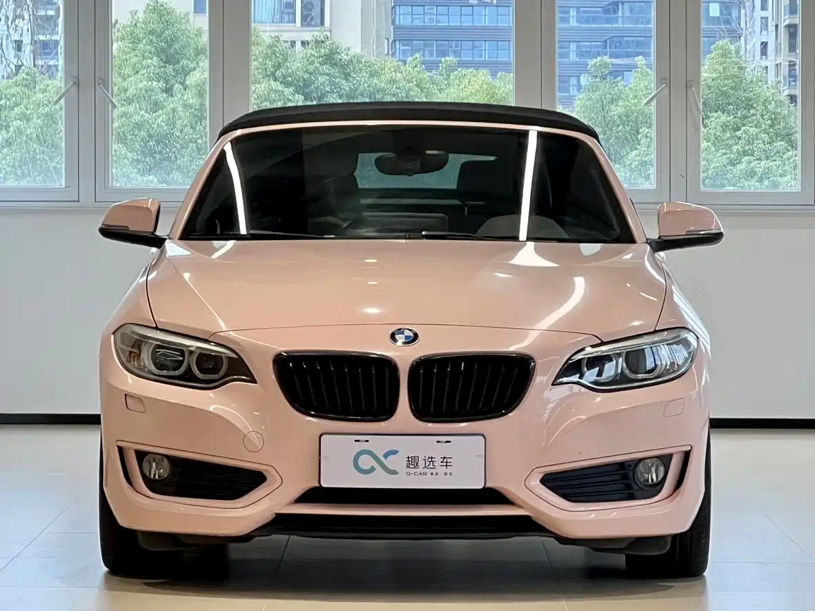 BMW 2 Series (Import) 2015 220i Convertible Coupe Leading фото 2