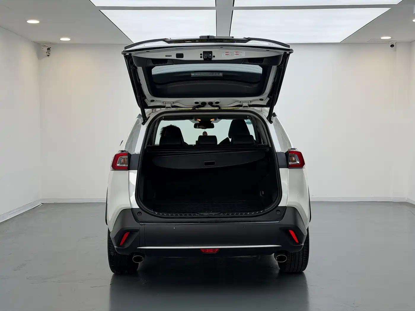 Toyota Wildlander 2020 2.0L CVT 2WD Luxury Edition фото 17
