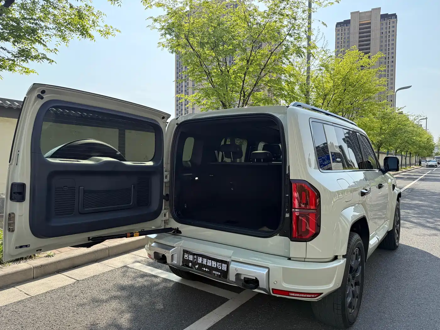 FANG CHENG BAO LEOPARD 5