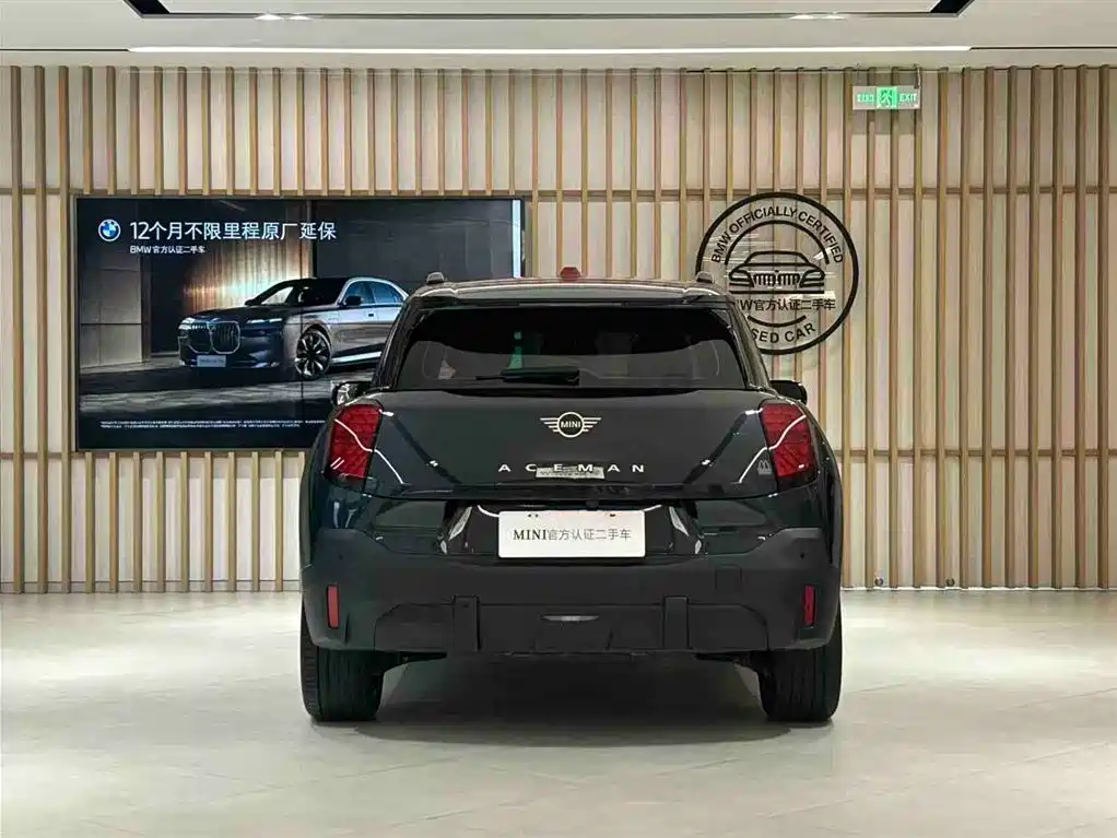 MINI ELECTRIC  ACEMAN