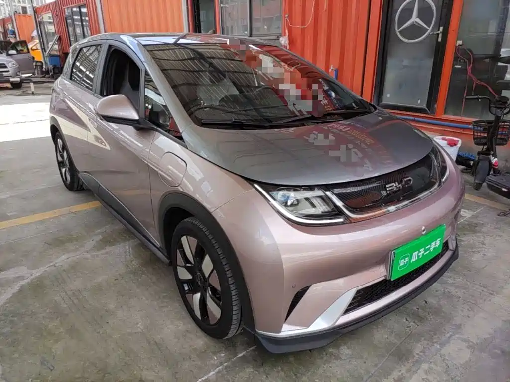 Photo 4 - BYD Dolphin