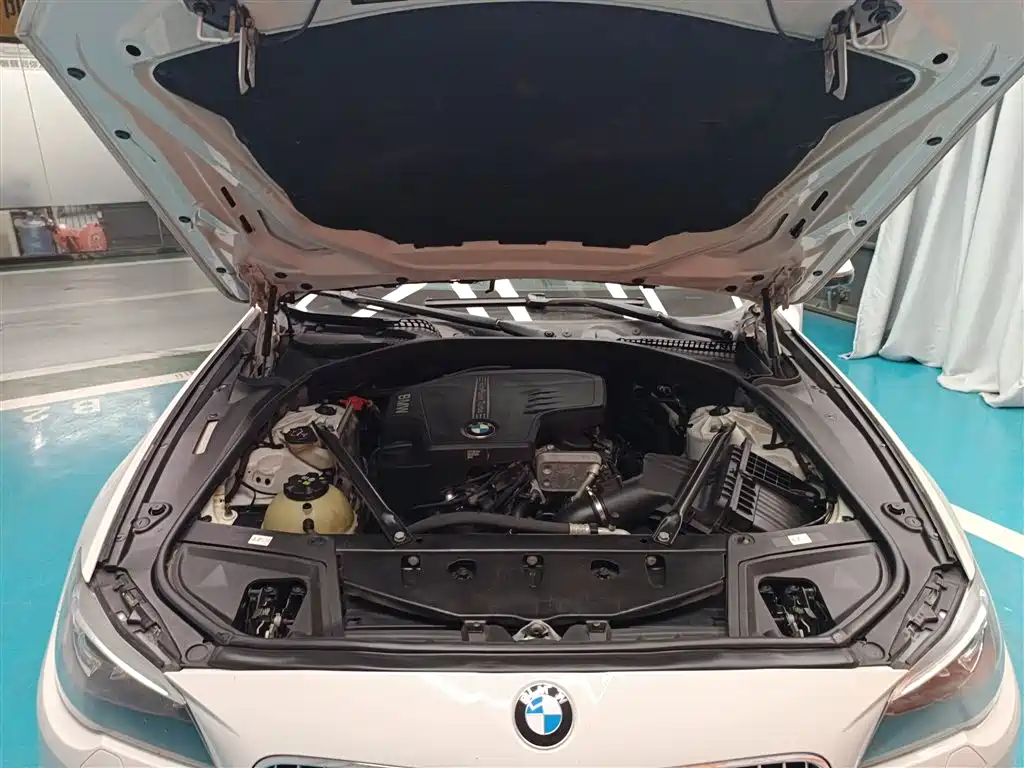 BMW 5 Series 2014 525Li Luxury Design Package фото 10