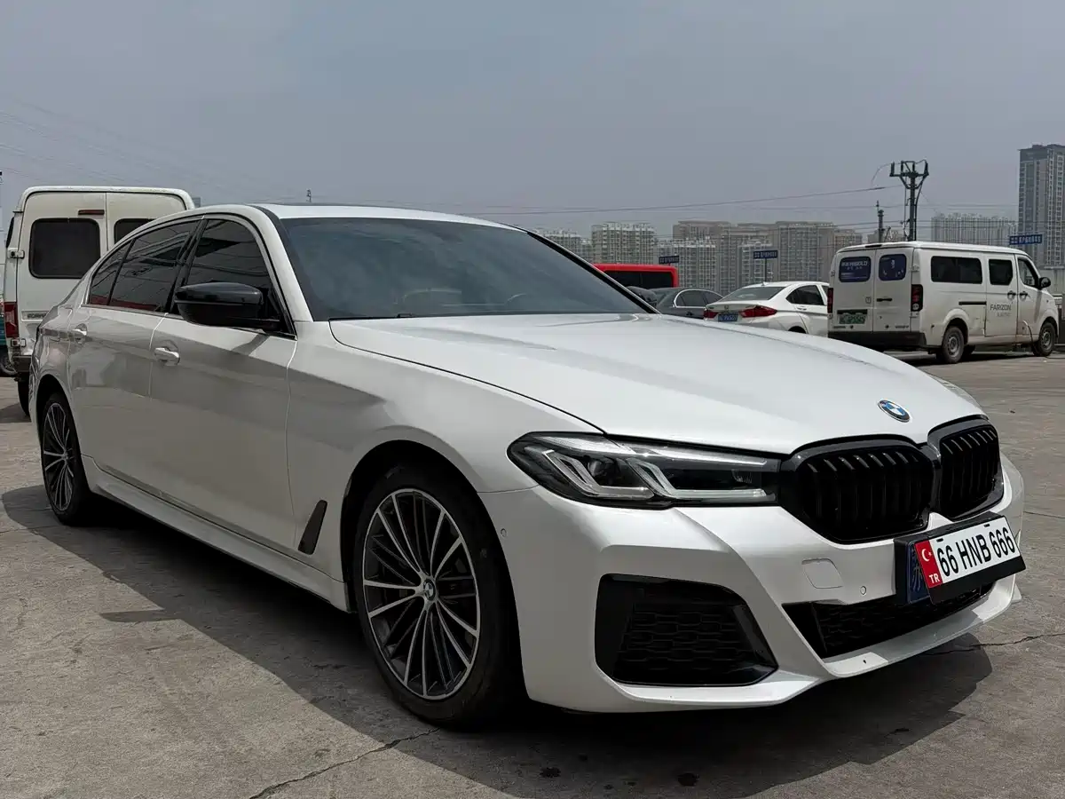 BMW 5 Series 2020 530Li Leading M Sport Package фото 3