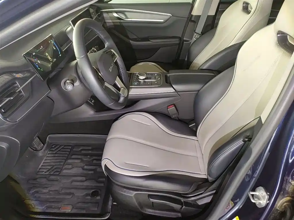 BYD Destroyer 05 2024 Glory Edition DM-i 55KM Luxury фото 15