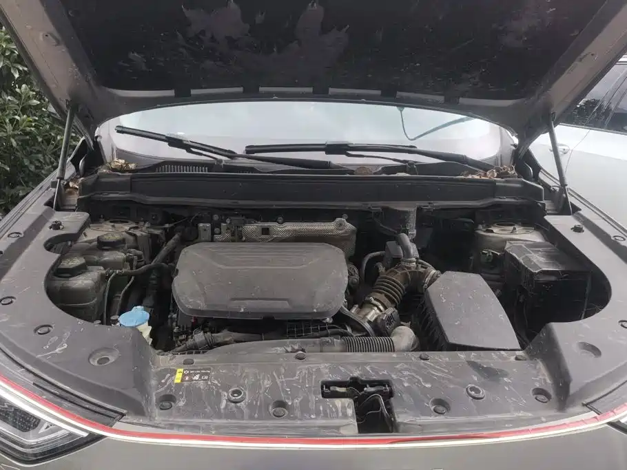 Haval Xiaolong MAX 2024 2023 1.5L Hi4 105 4WD Smart Flagship