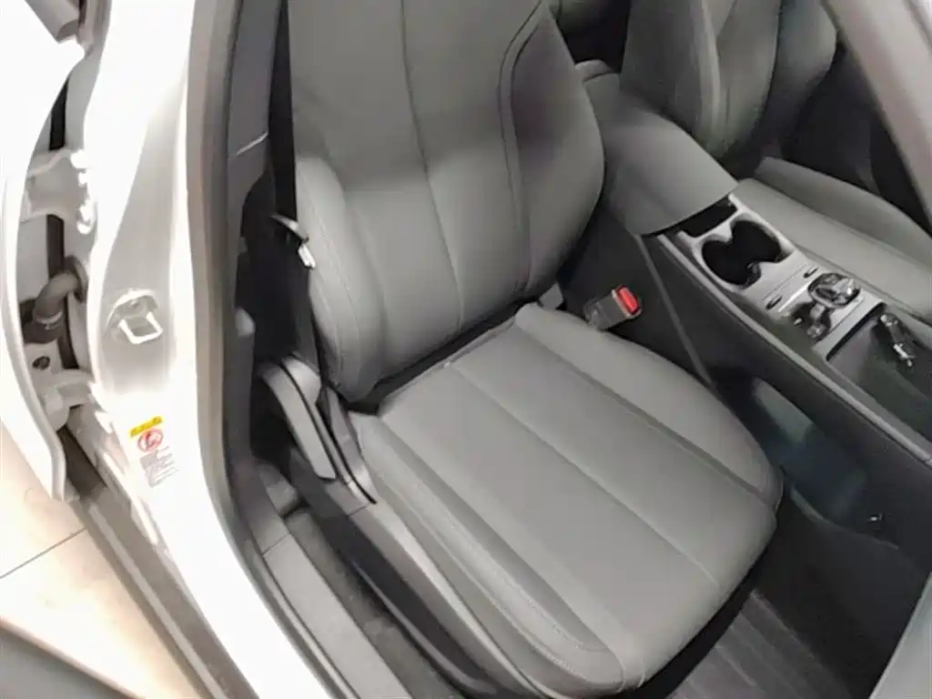BYD Qin PLUS 2025 DM-i Smart Drive 55KM Leader фото 25