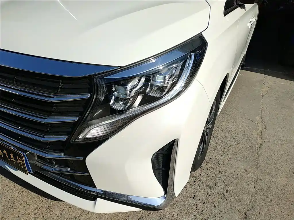 GAC Trumpchi Trumpchi M8 2021 Facelift Leading Series 390T Luxury Edition фото 15