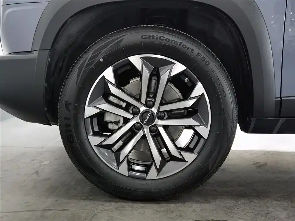 Haval Big Dog 2024 1.5T DCT Border Collie Edition фото 17