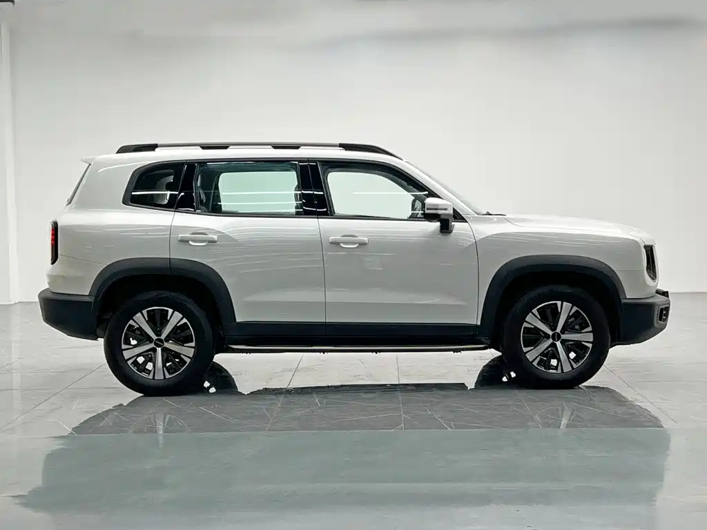 Фото 7 - Haval Dargo