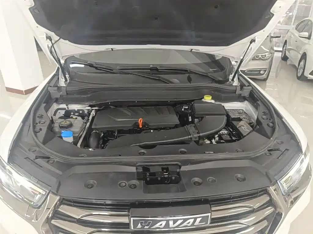 Haval H6 2021 National Trend Edition 1.5GDIT Automatic Champion Edition фото 20