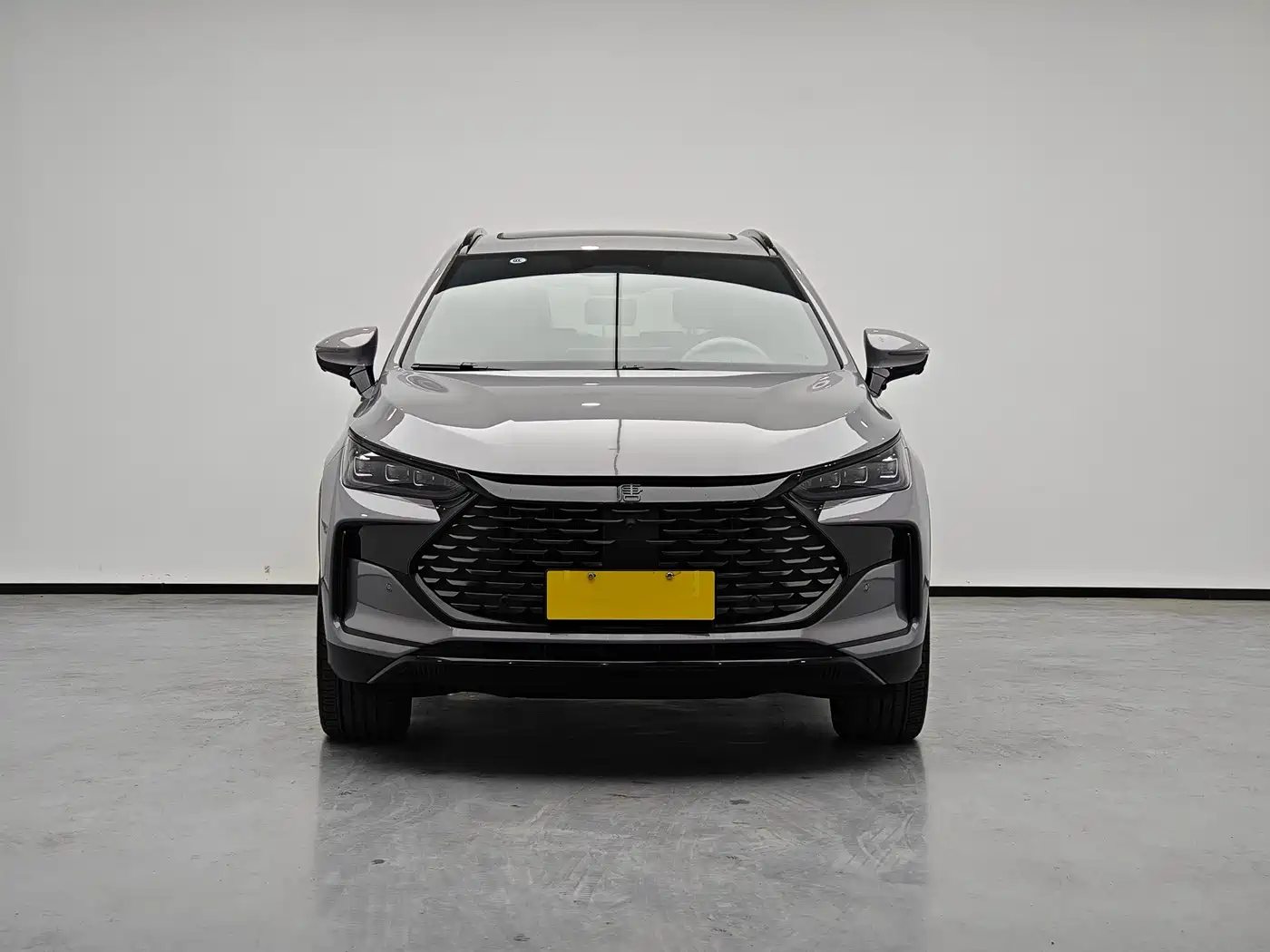 BYD Tang New Energy 2025 Smart Driving Edition DM-i 115KM Flagship фото 3