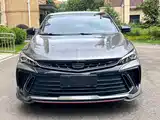 Фото 2 - Geely Binrui