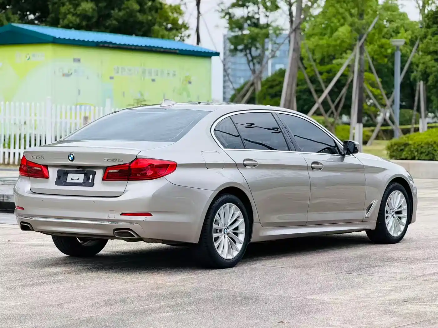 BMW 5 Series 2020 530Li Leading Luxury Package фото 10