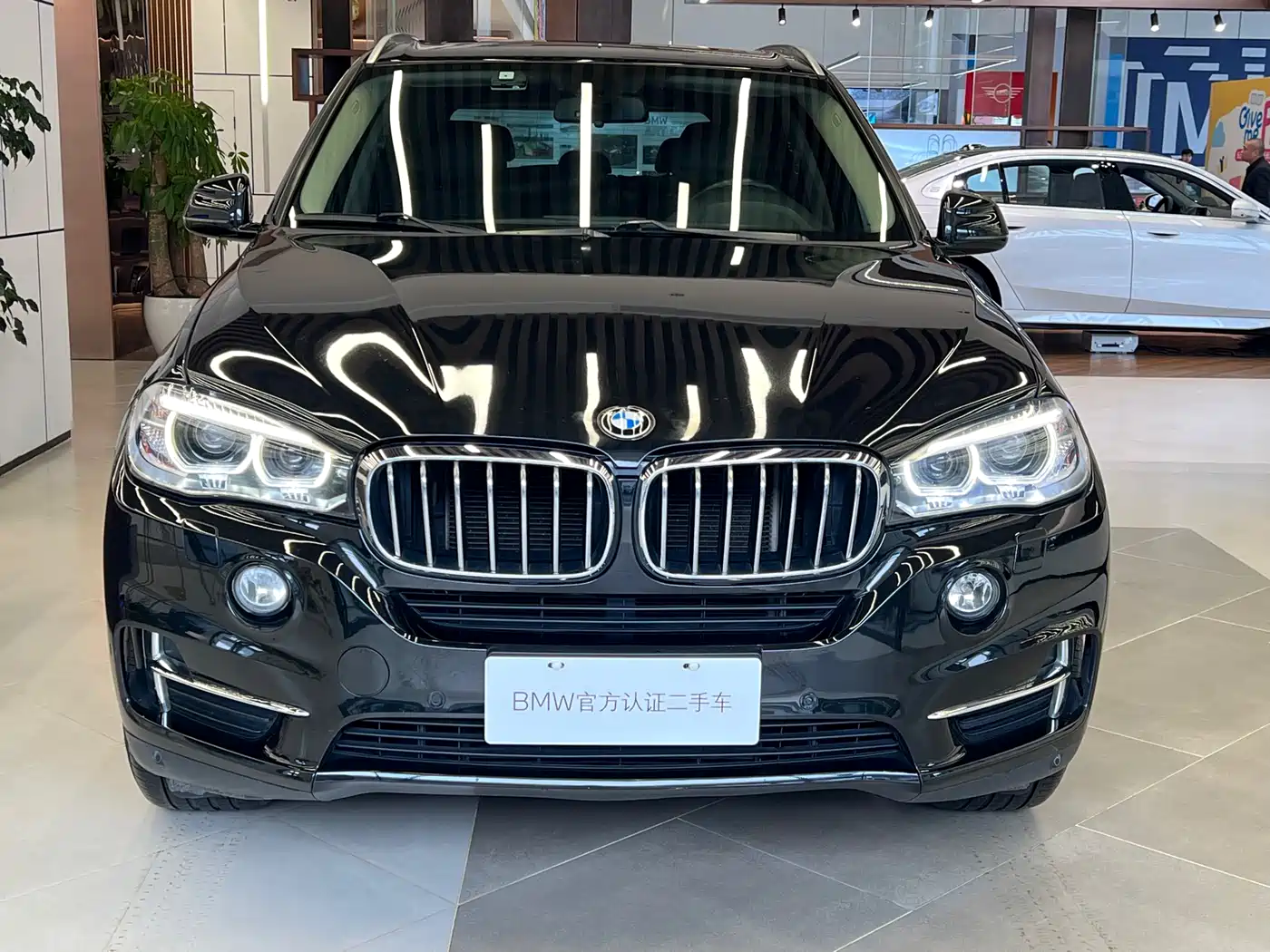 BMW X5 (Import) 2018 xDrive35i Elegant Model фото 2