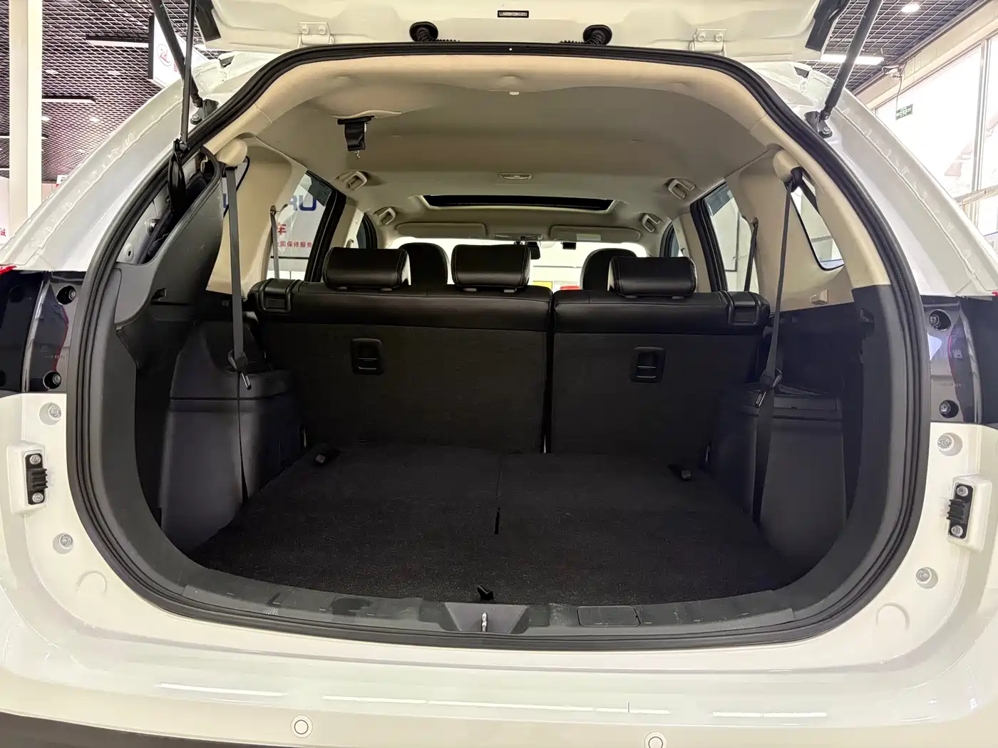 Mitsubishi Outlander 2016 2.4L 4WD Luxury Edition 7-seater фото 21