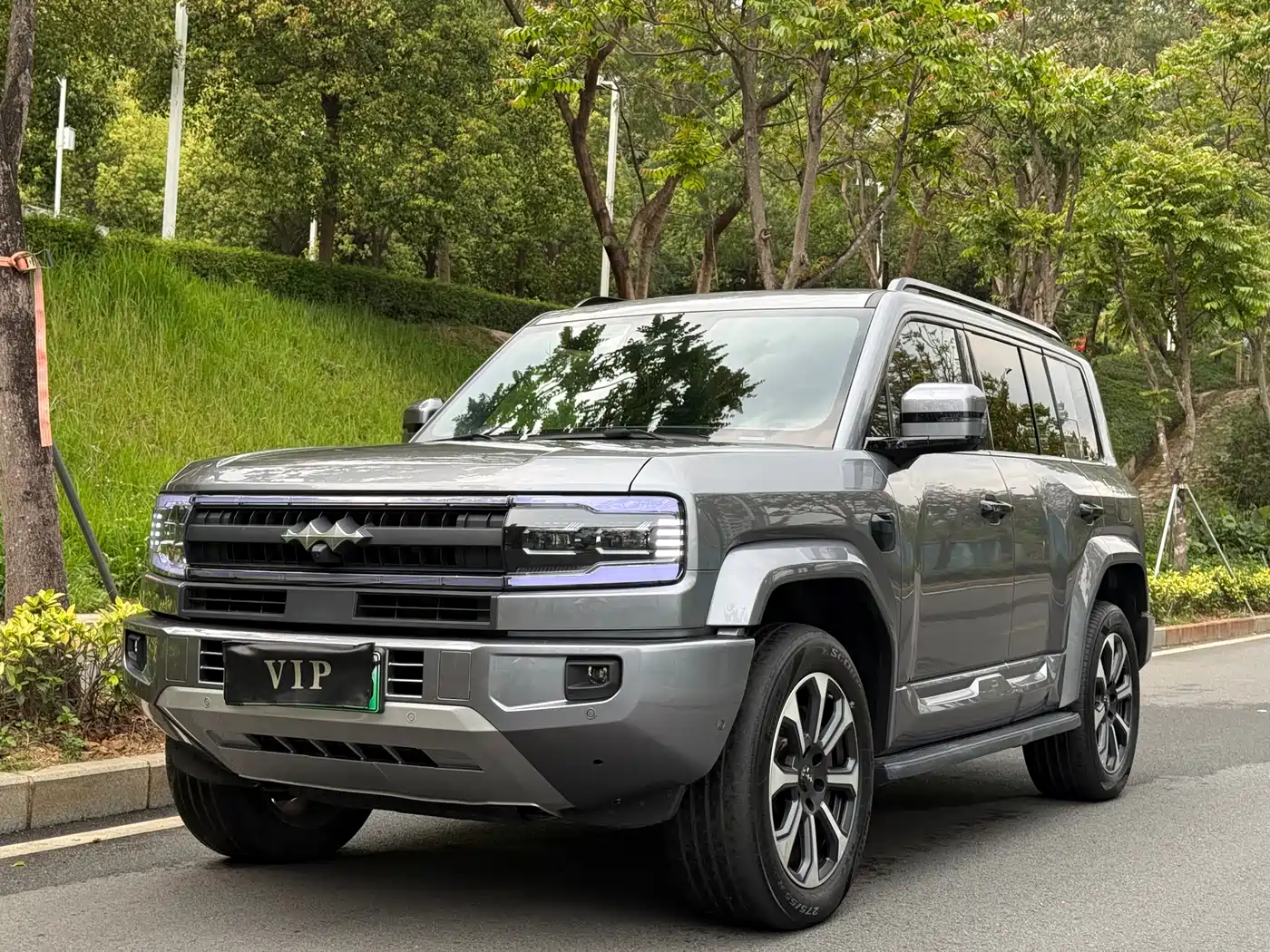 FANG CHENG BAO LEOPARD 5