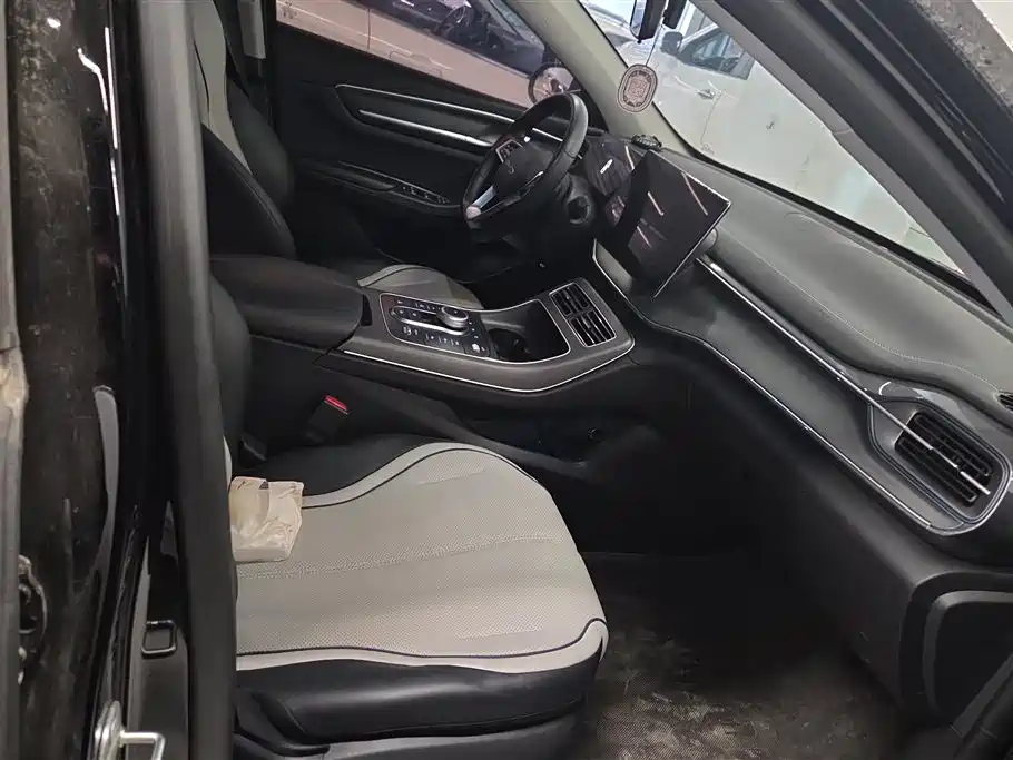 BYD Destroyer 05 2024 Glory Edition DM-i 55KM Luxury фото 8