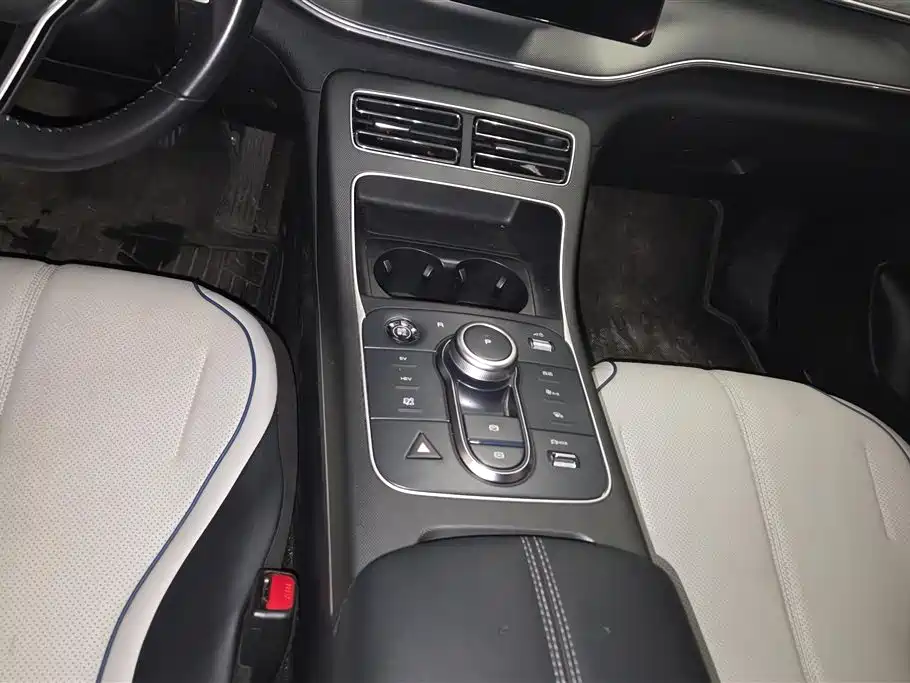 BYD Destroyer 05 2024 Glory Edition DM-i 55KM Luxury фото 16