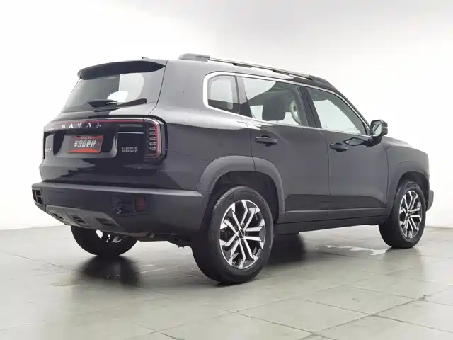 Haval Big Dog 2024 1.5T DCT Border Collie Edition — фото 2
