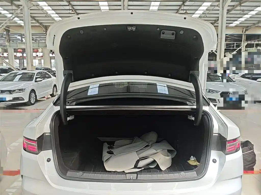 BYD Destroyer 05 2024 Glory Edition DM-i 55KM Luxury фото 19