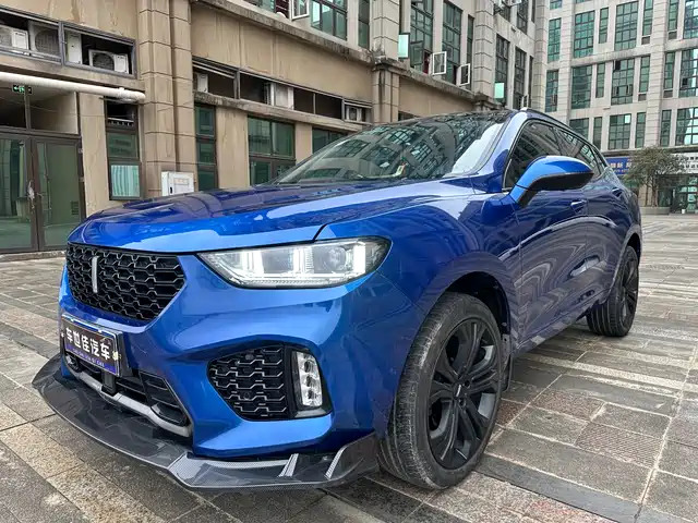 WEI PAI WEI BRAND VV5