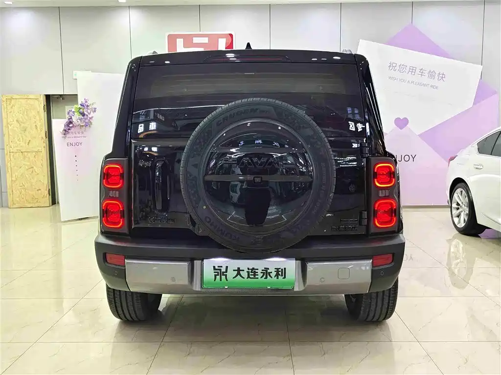 HAVAL RAPTORS NEW ENERGY