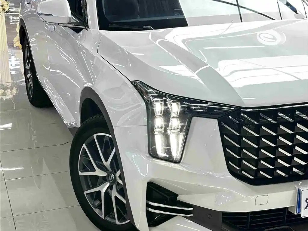 GAC Trumpchi Trumpchi GS8 2022 Pilot Series 2.0TGDI 2WD Luxury Smart Connect Edition (7-Seater) фото 6