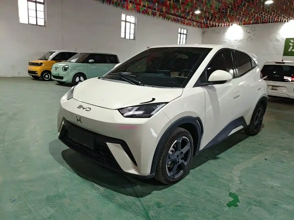 BYD Seagull 2024