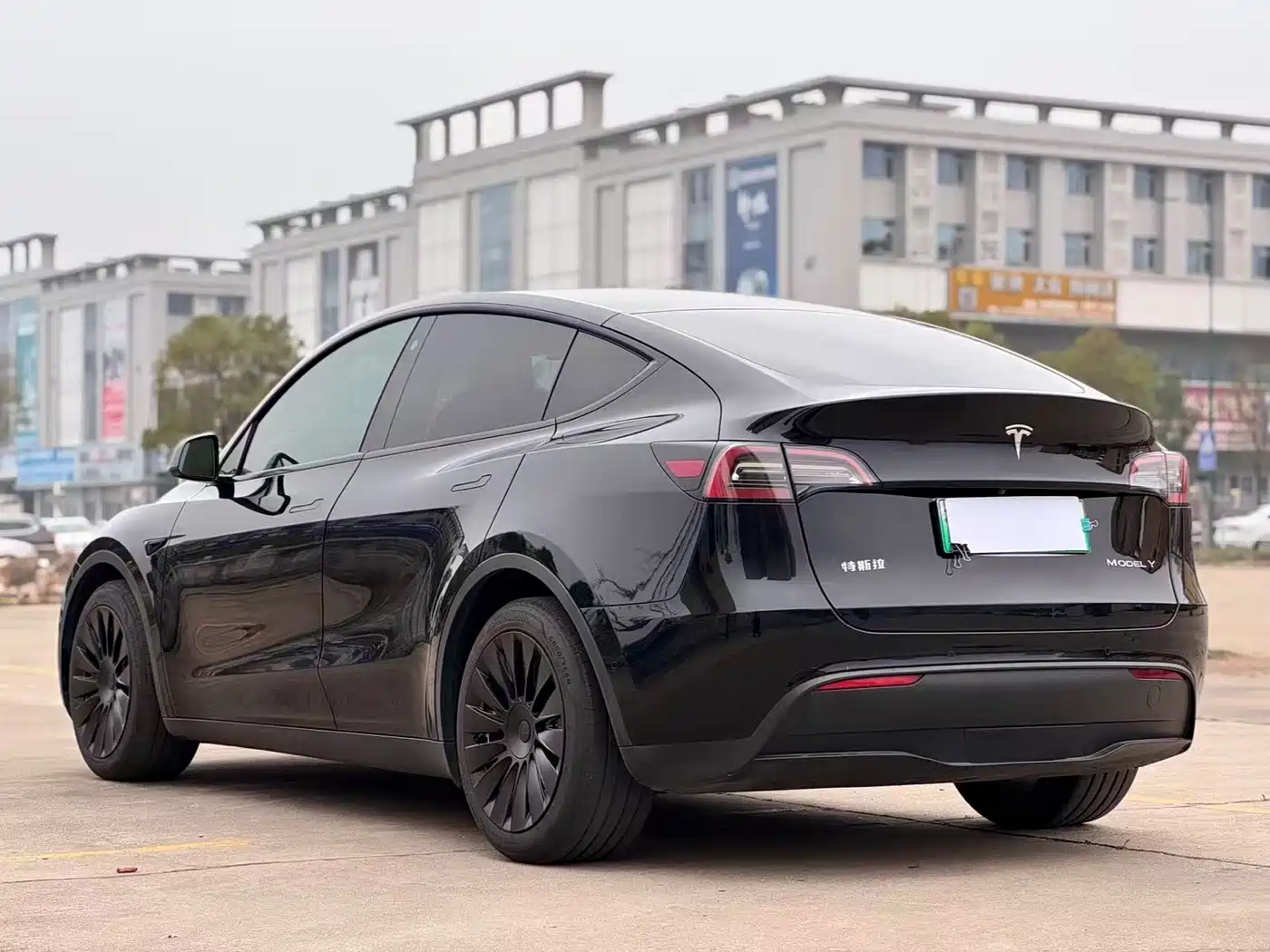TESLA MODEL Y
