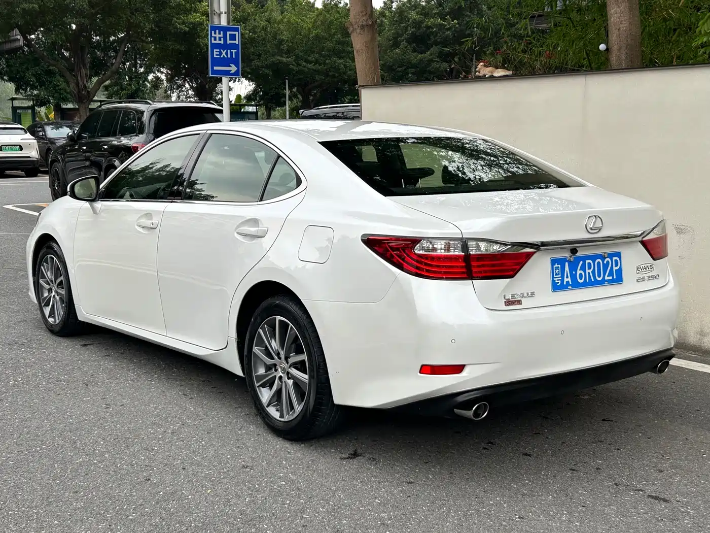 Lexus ES 2013 250 Elite Edition фото 12