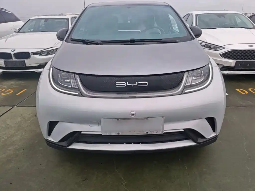 BYD Dolphin 2022 2021 405km Freedom Edition