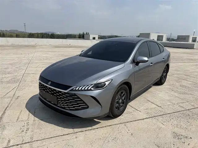 BYD Qin PLUS Слава, DM-i 55KM, Лидер
