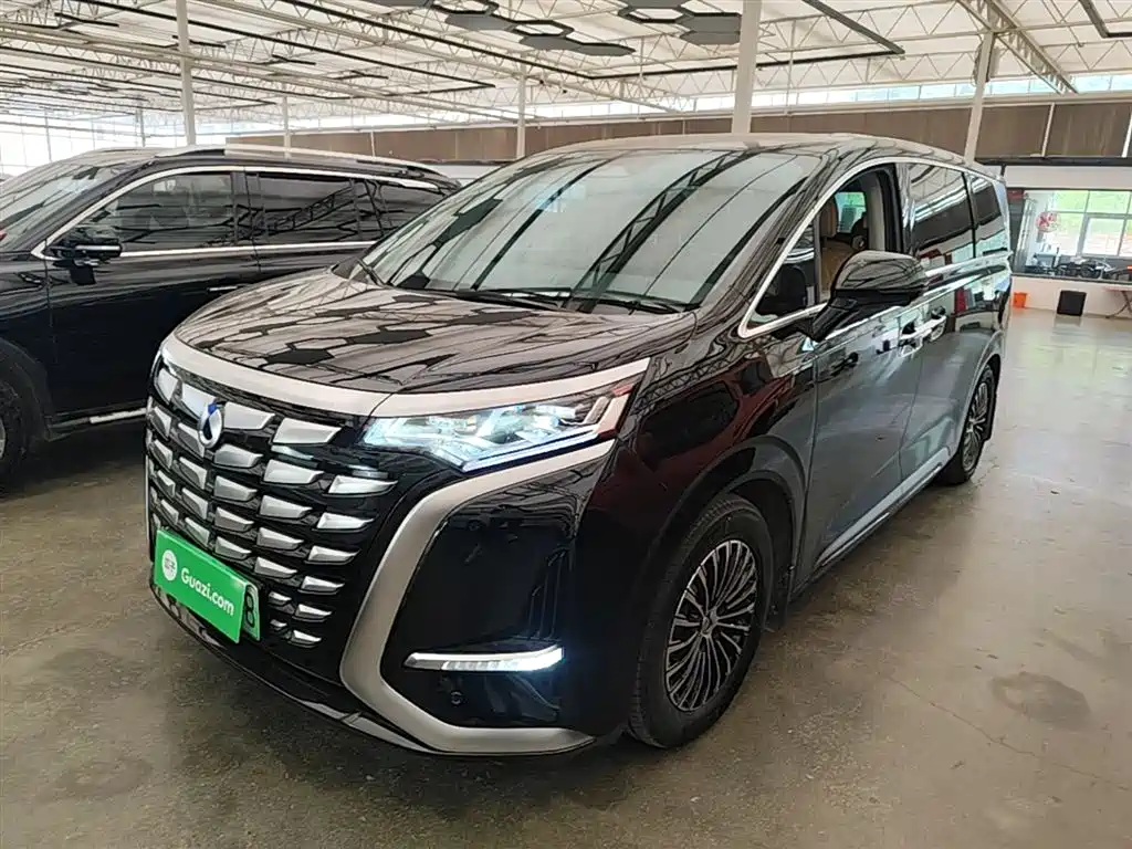 Denza D9 2022 DM-i 970 All-Wheel Drive Honor Edition фото 2