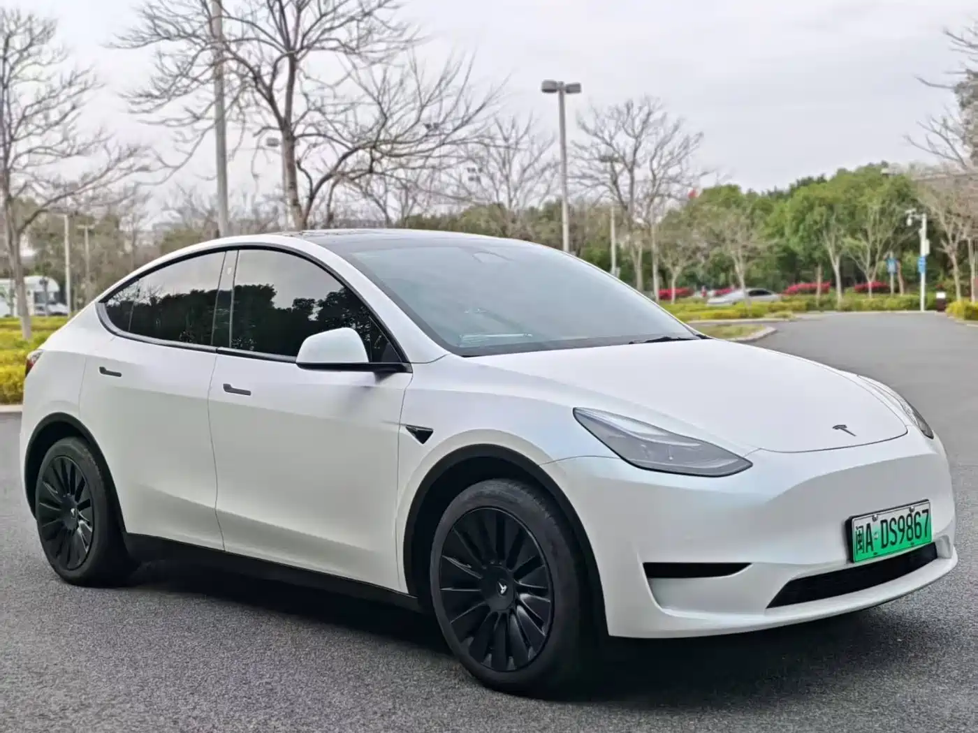 TESLA MODEL Y