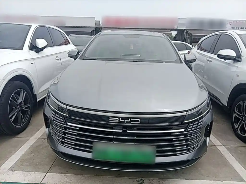 Photo 3 - BYD Destroyer 05