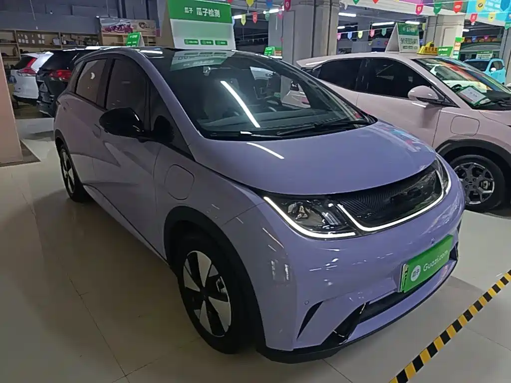 Фото 4 - BYD Dolphin