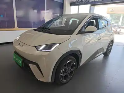 BYD Seagull