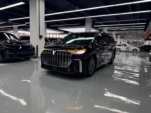  Voyah Auto Voyah Dreamer 2022 Low Carbon Edition Home